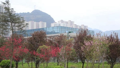 六盤水職業(yè)技術(shù)學(xué)院春景