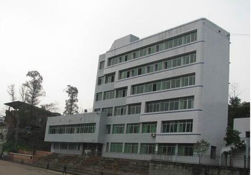 四川省宣漢職業(yè)中專學校學校藝術(shù)樓