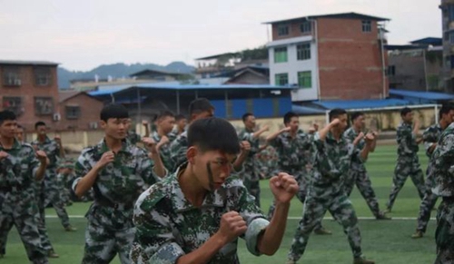 四川省開江縣職業(yè)中學軍體拳