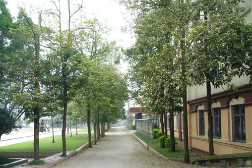 內(nèi)江鐵路機械學(xué)校（內(nèi)江鐵技校）內(nèi)江校區(qū)林蔭大道