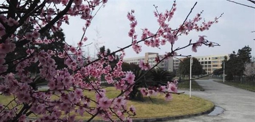 內(nèi)江鐵路機械學(xué)校（內(nèi)江鐵技校）郫縣安德校區(qū)校園一角