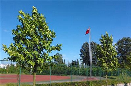 內(nèi)江鐵路機械學(xué)校（內(nèi)江鐵技校）郫縣安德校區(qū)運動場一角