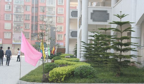 廣安市武勝嘉陵職業(yè)技術學校校園一角