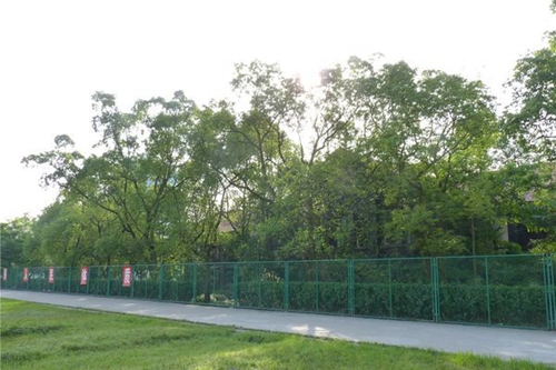 岳池縣職業(yè)技術(shù)學校校園小道