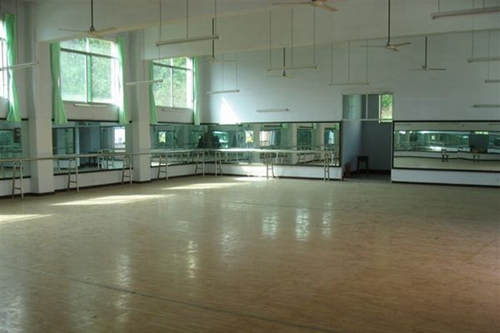 岳池縣職業(yè)技術(shù)學校形體房