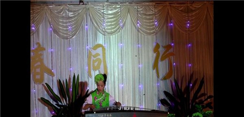 岳池縣職業(yè)技術(shù)學校古箏表演