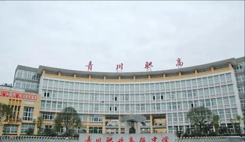 四川省青川縣職業(yè)高級(jí)中學(xué)校園大門(mén)