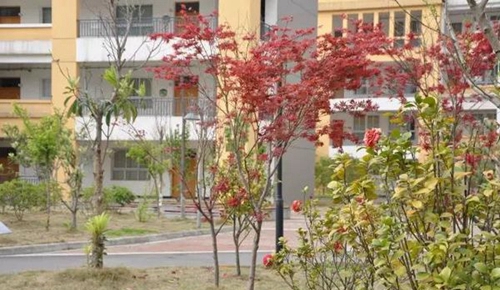 四川省青川縣職業(yè)高級(jí)中學(xué)校園一角