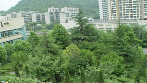 貴州省財政學校校園綠化