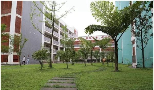 四川省敘永縣職業(yè)高級(jí)中學(xué)校草坪