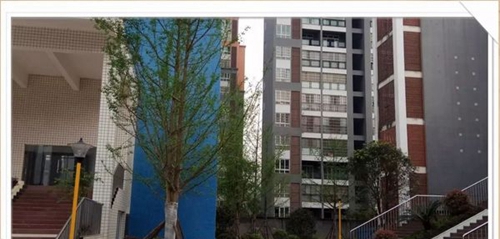 四川省敘永縣職業(yè)高級(jí)中學(xué)校校園環(huán)境