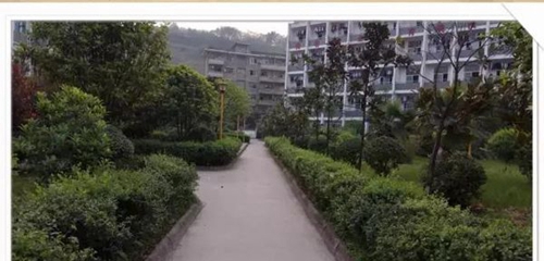 四川省敘永縣職業(yè)高級(jí)中學(xué)校校園小徑