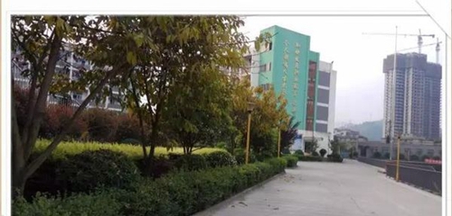 四川省敘永縣職業(yè)高級(jí)中學(xué)校校園一角