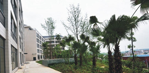 四川省綿陽(yáng)農(nóng)業(yè)學(xué)校(綿陽(yáng)工程技術(shù)學(xué)校)工程系實(shí)訓(xùn)樓