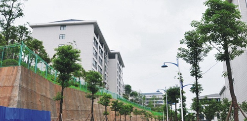 四川省綿陽農(nóng)業(yè)學(xué)校(綿陽工程技術(shù)學(xué)校)校園2號路連接三系實訓(xùn)大樓