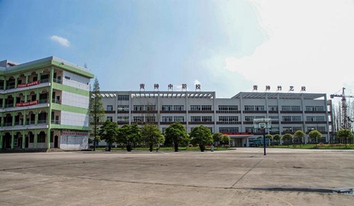 四川省青神中等職業(yè)技術(shù)學(xué)?；@球場(chǎng)