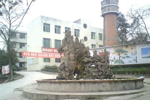 四川省仁壽縣第五高級(jí)職業(yè)中學(xué)校園假山