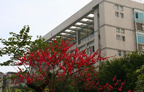 重慶電力高等?？茖W(xué)校校園景色