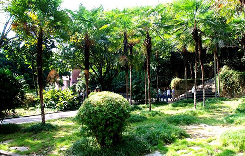 重慶電力高等專科學(xué)校校園綠化