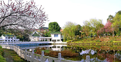 重慶信息技術(shù)職業(yè)學(xué)院風(fēng)景如畫