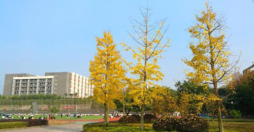 重慶醫(yī)藥高等?？茖W(xué)校醫(yī)專之秋