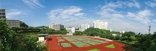 重慶科創(chuàng)職業(yè)學院綜合運動場