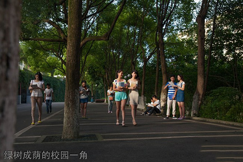 重慶科創(chuàng)職業(yè)學院綠樹成蔭的校園一角