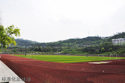 重慶科創(chuàng)職業(yè)學院標準化足球場