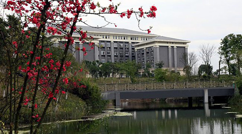 重慶能源職業(yè)學院湖畔景色