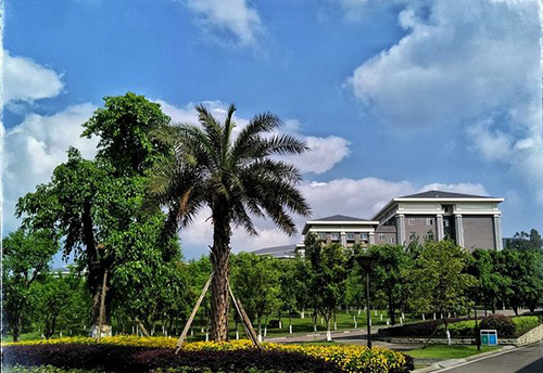 重慶能源職業(yè)學院校園綠化
