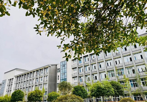 重慶商務職業(yè)學院桂花盛開