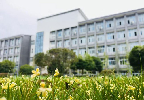 重慶商務職業(yè)學院校園草地