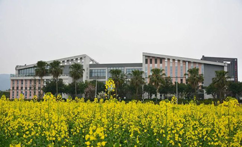 重慶商務職業(yè)學院校園春光