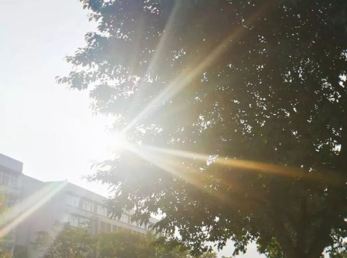 重慶公共運輸職業(yè)學(xué)院校園光影