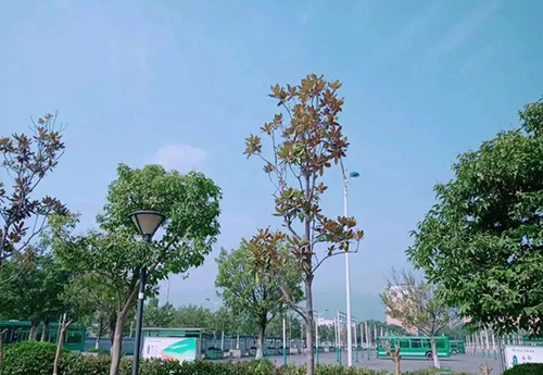 重慶公共運輸職業(yè)學(xué)院校園一景