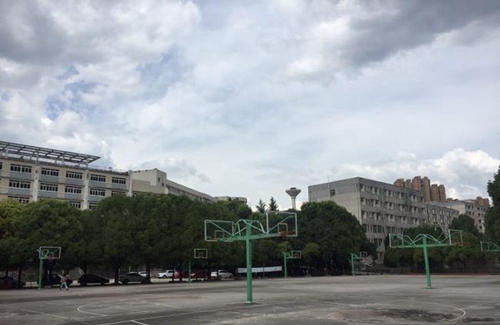 貴陽精工科技學(xué)?；@球場（2）
