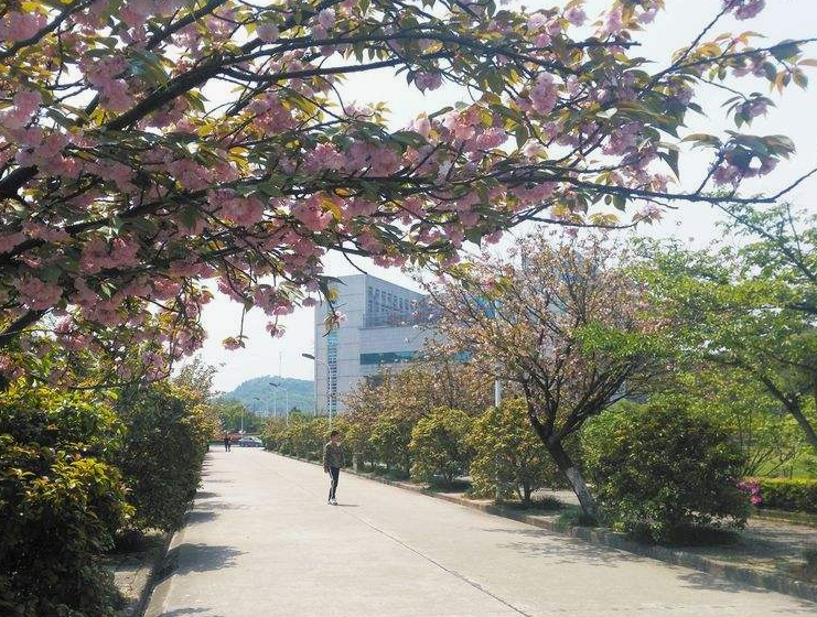 重慶益民技工學(xué)校在哪里、學(xué)校地址