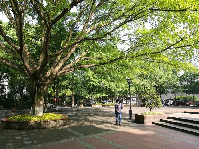 2022年重慶歌樂山哪家衛(wèi)校學費比較便宜呢？
