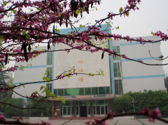 重慶市行知職業(yè)技術(shù)學(xué)校在哪里、學(xué)校地址