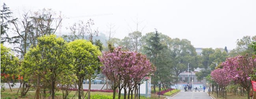 遵義職業(yè)技術(shù)學(xué)院校園干道