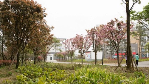 遵義職業(yè)技術(shù)學(xué)院校園綠化