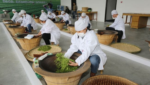 遵義職業(yè)技術(shù)學(xué)院制茶專業(yè)實訓(xùn)室