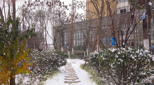 遵義職業(yè)技術(shù)學(xué)院校園雪景2