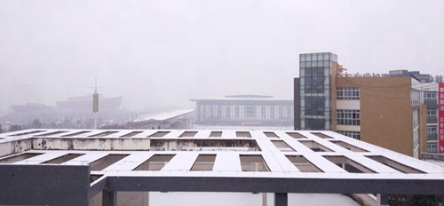 遵義職業(yè)技術(shù)學(xué)院校園雪景
