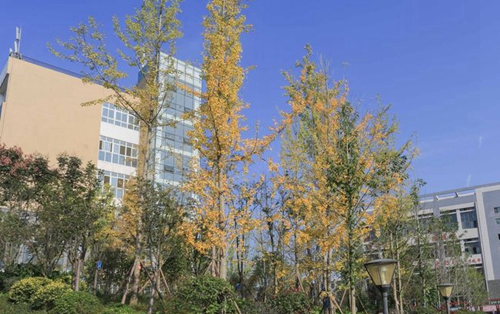 遵義職業(yè)技術(shù)學(xué)院校園秋景