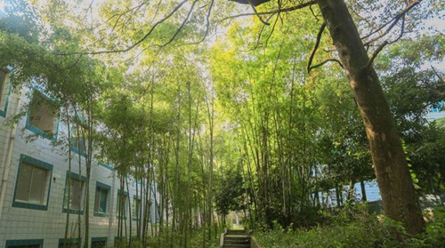遵義職業(yè)技術(shù)學(xué)院校園小道