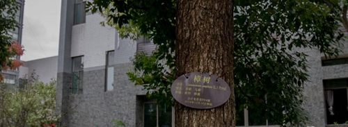 遵義職業(yè)技術(shù)學(xué)院樟樹