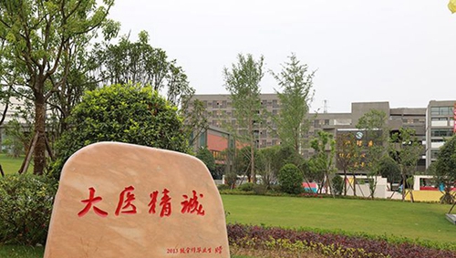 畢節(jié)醫(yī)學(xué)高等?？茖W(xué)校校園一角2