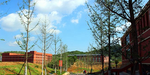 貴州應用技術(shù)職業(yè)學校校園干道