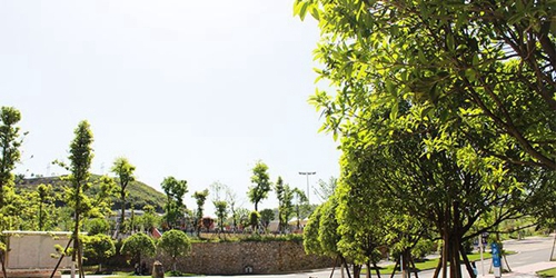 貴州應用技術(shù)職業(yè)學校校園行道